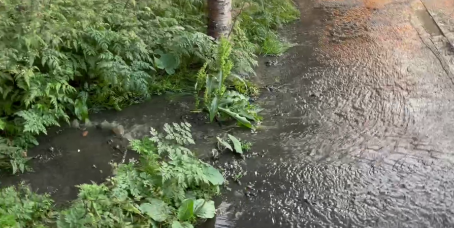 Прорыв канализации произошёл на улице Аскольдовцев в Мурманске