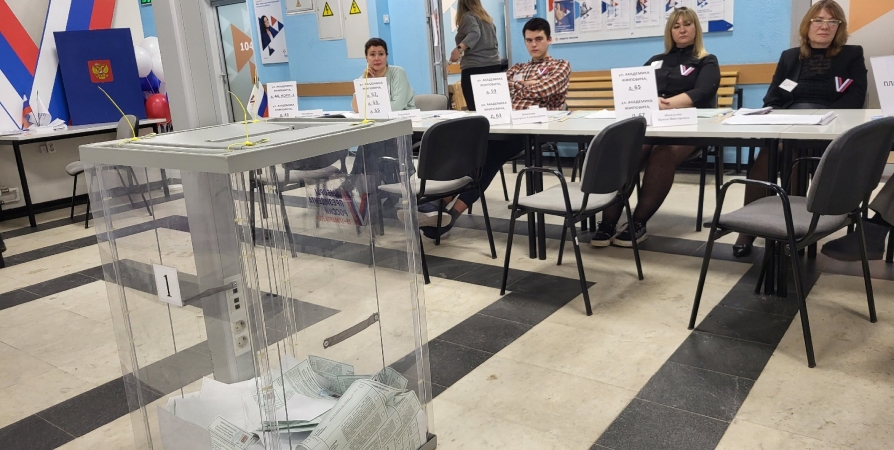 Мурманский избирком рассказал, как подать заявление для электронного голосования