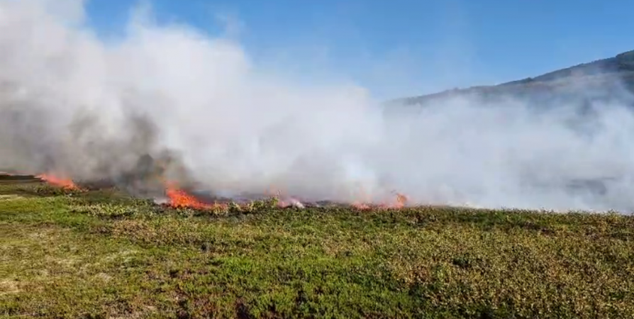 Еще один природный пожар на полуостровах Баренцева моря: горит губа Малая Волоковая