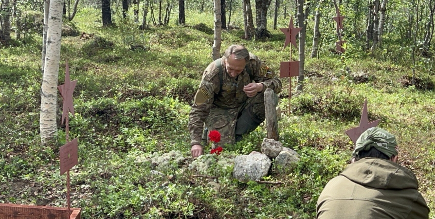 «Годами ходили около»: Поисковики в Заполярье нашли могилы бойцов Красной Армии благодаря иван-чаю