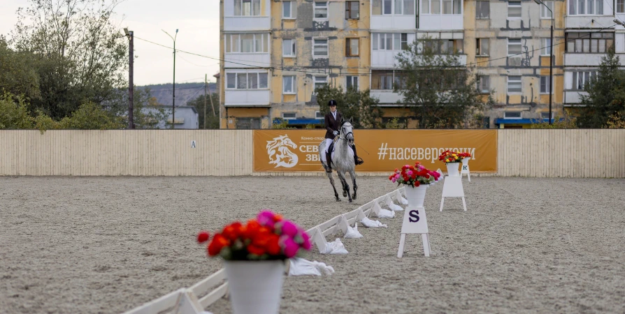 Легкость и грация: в Коле прошел первый областной чемпионат по конному спорту [фото]