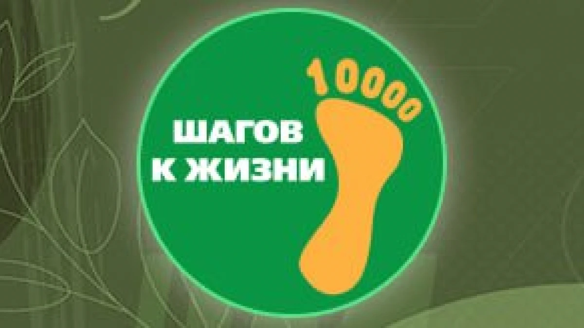 «10 тысяч шагов к жизни»: в Мурманске пройдёт всероссийская акция здоровья