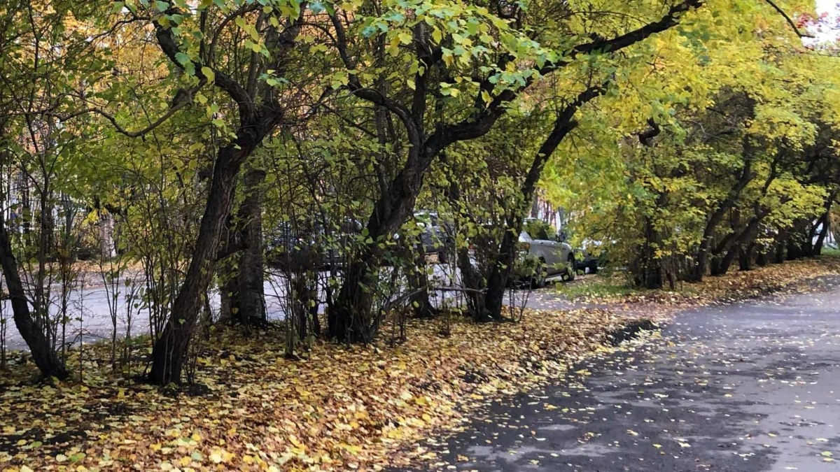 Осадки в виде снега и дождя и до +7° сегодня в Мурманской области