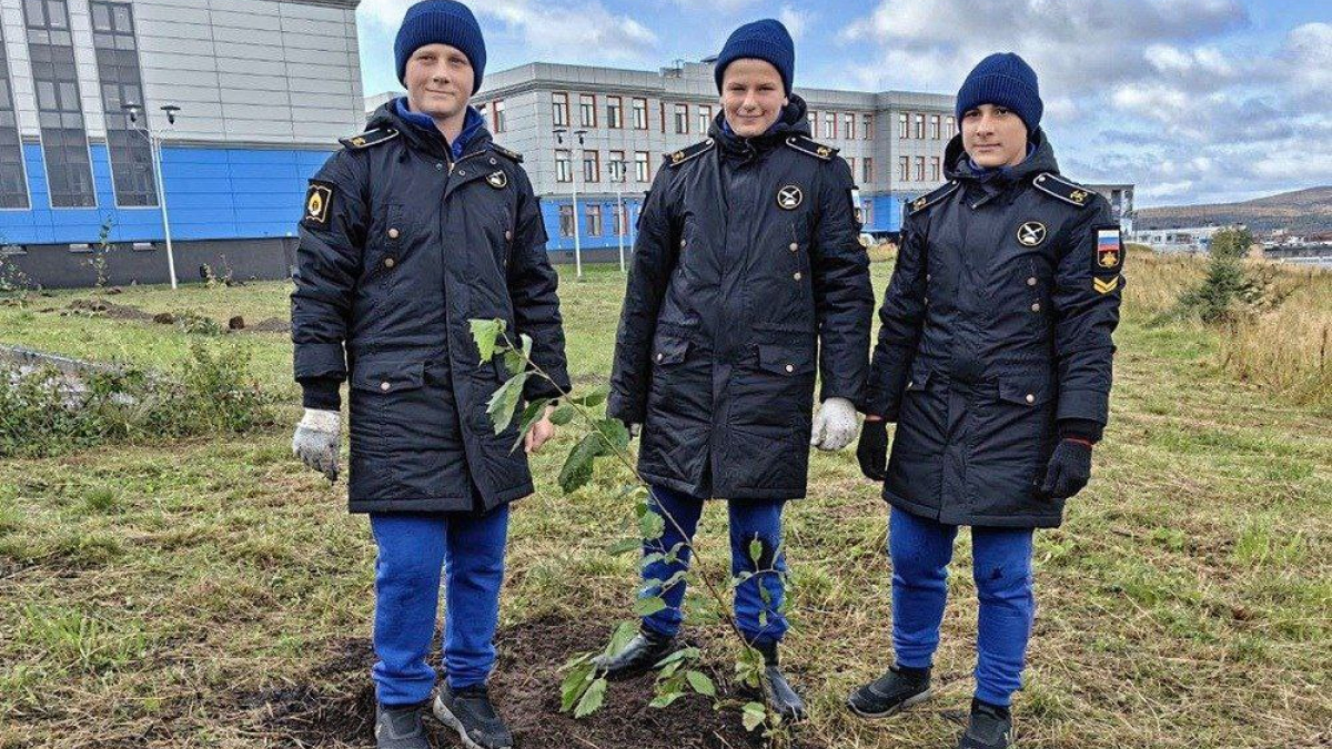 В Мурманске нахимовцы посадили саженцы ирги