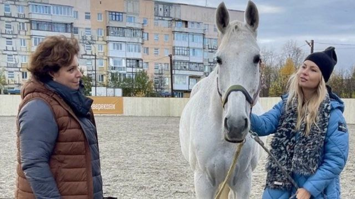 Лошадки-терапевты: в кольском конном клубе проходят занятия по ипповенции