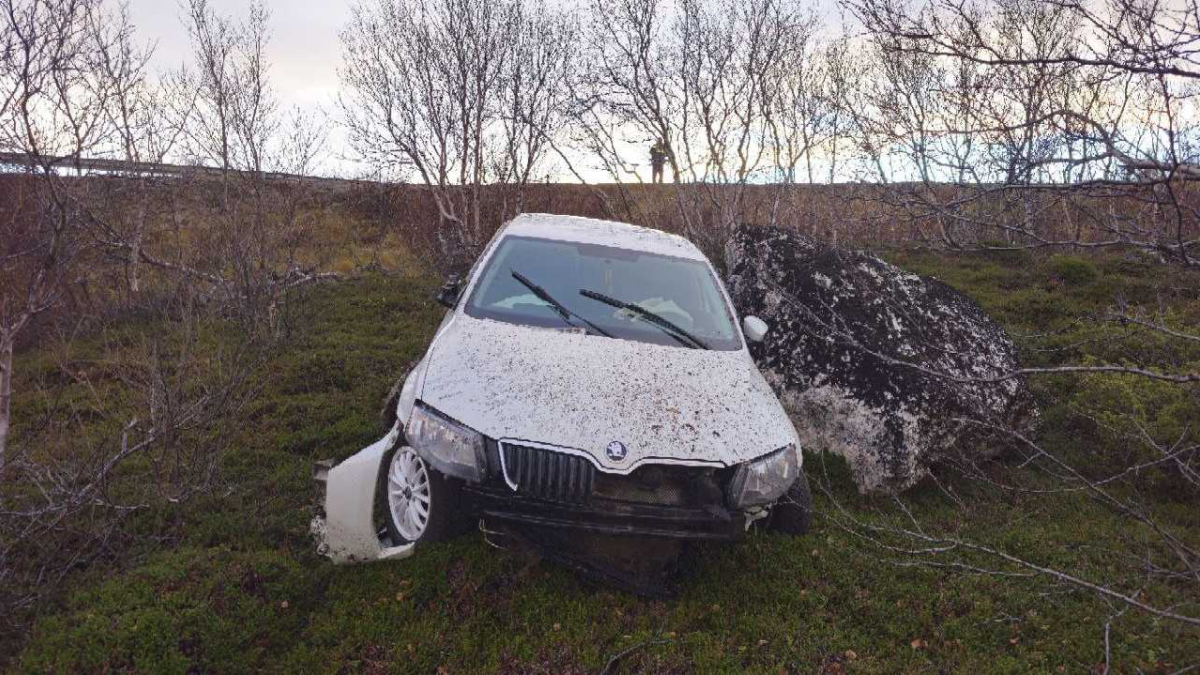 Сотрясение мозга, многочисленные ушибы: В Кольском районе автомобиль вылетел в кювет