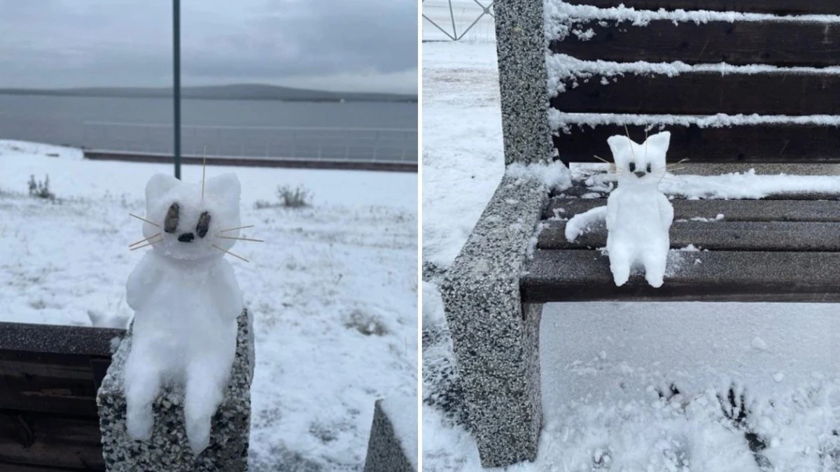 Снежные котики любуются Имандрой на набережной Мончегорска