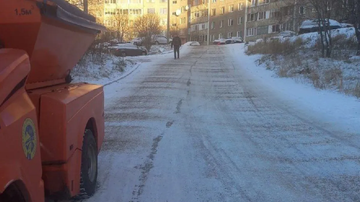 Северяне просят не посыпать улицы городов химическими реагентами