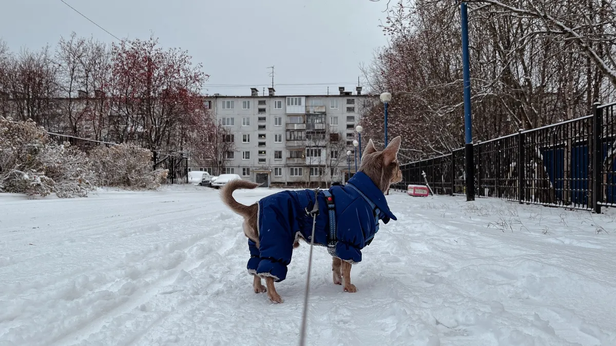 Перешли на плюс: В Мурманской области местами сильная гололедица