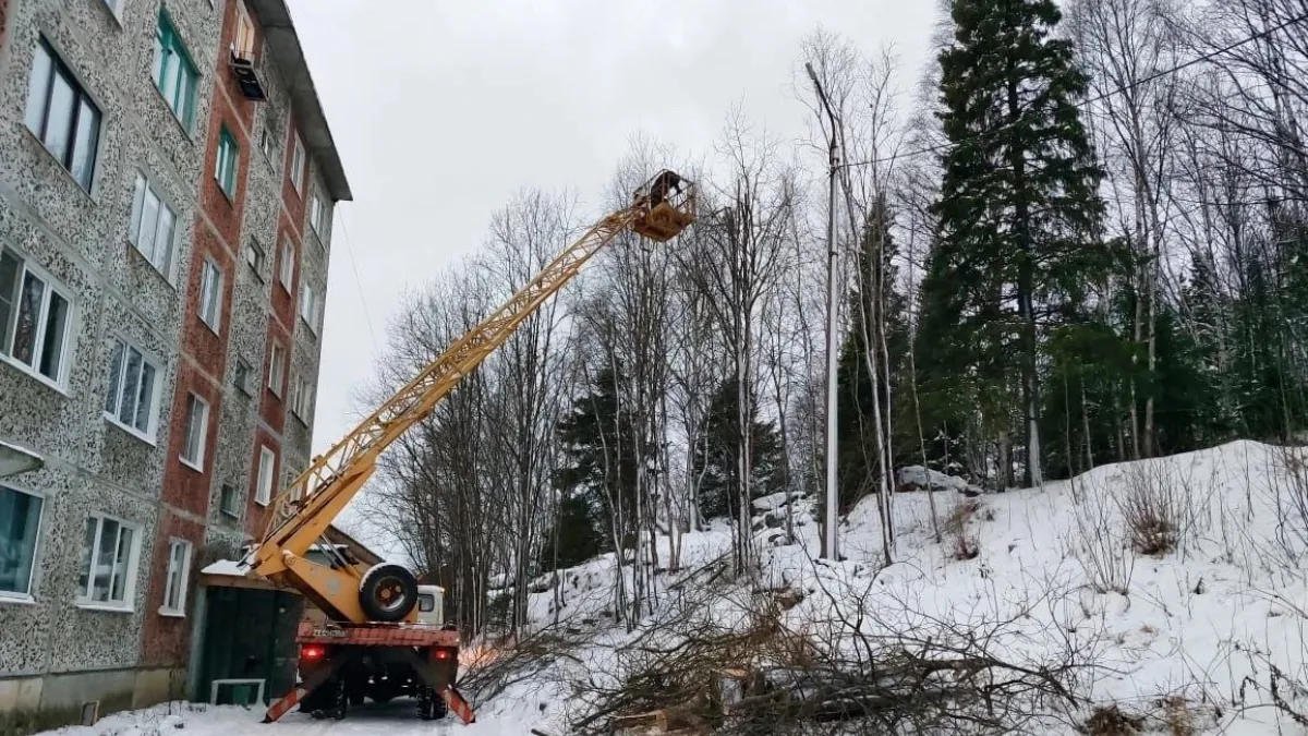 В Умбе обрезали деревья — глава Терского района