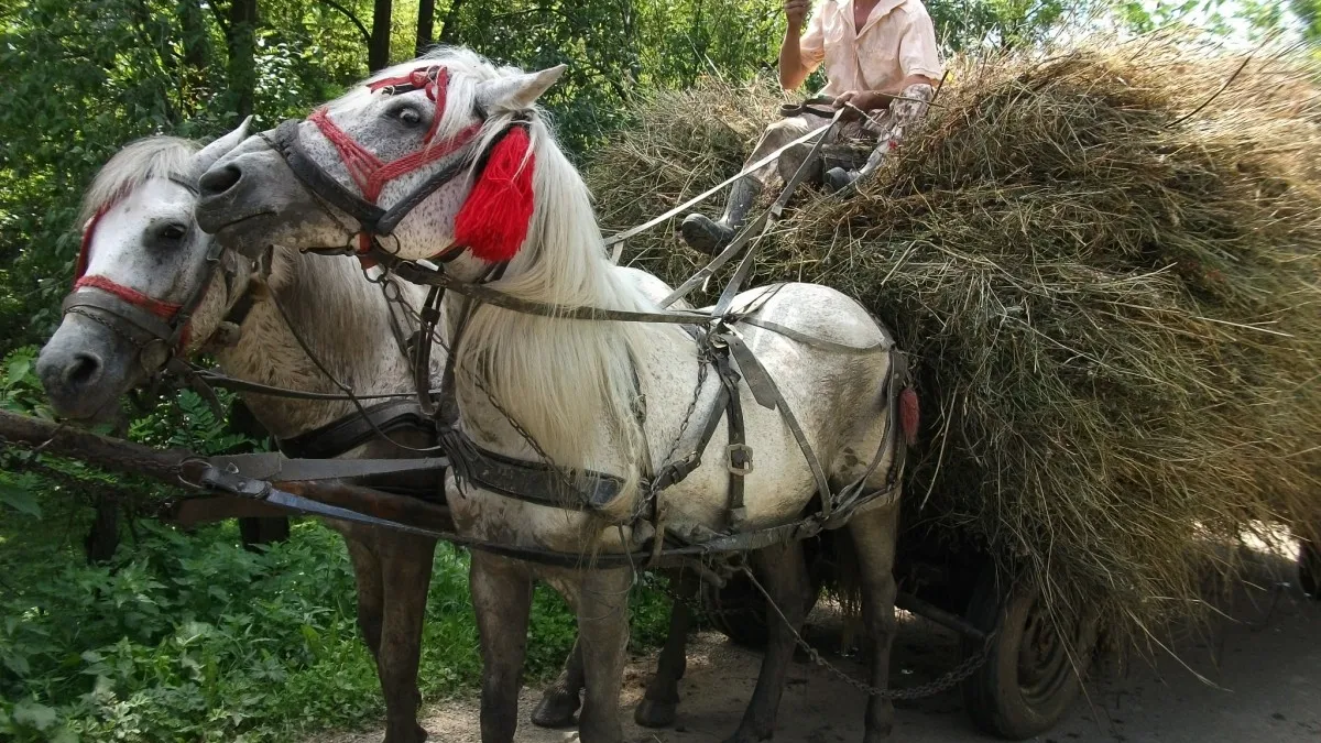 Эти продукты на Руси называли «дьявольскими» — сейчас все едят как ни в чём не бывало