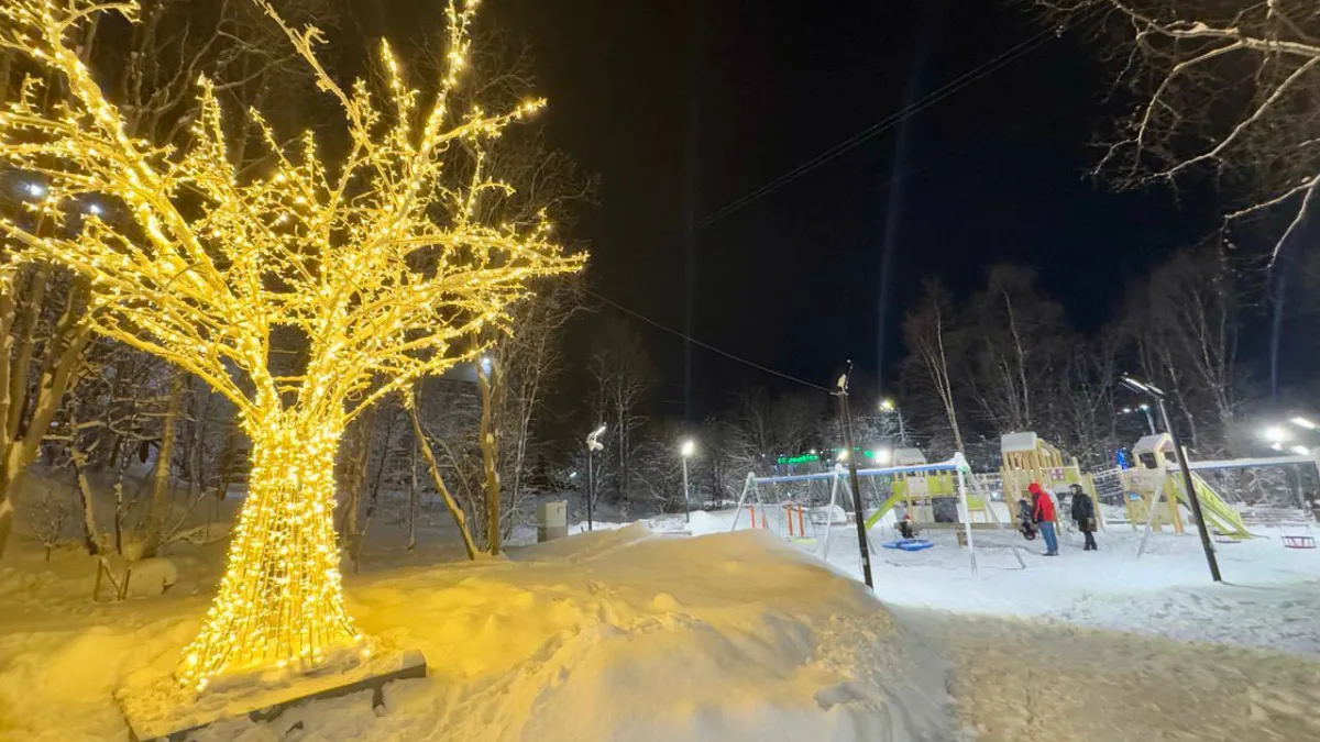 Фотозона со святящимися деревьями появилась в Мурманске