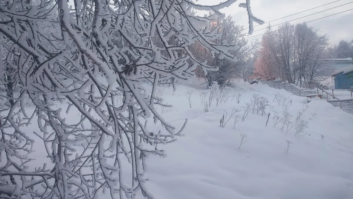 Морозная погода до -36° ждёт Мурманскую область все выходные