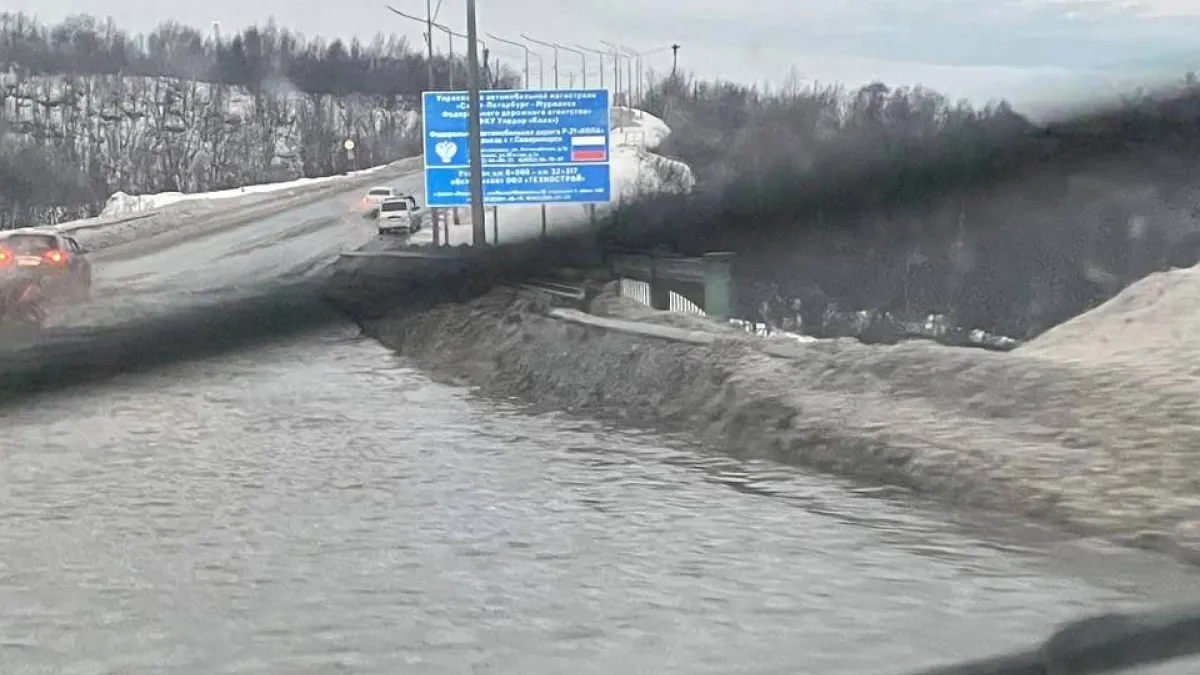 Североморцы ищут название «озеру» на въезде в город