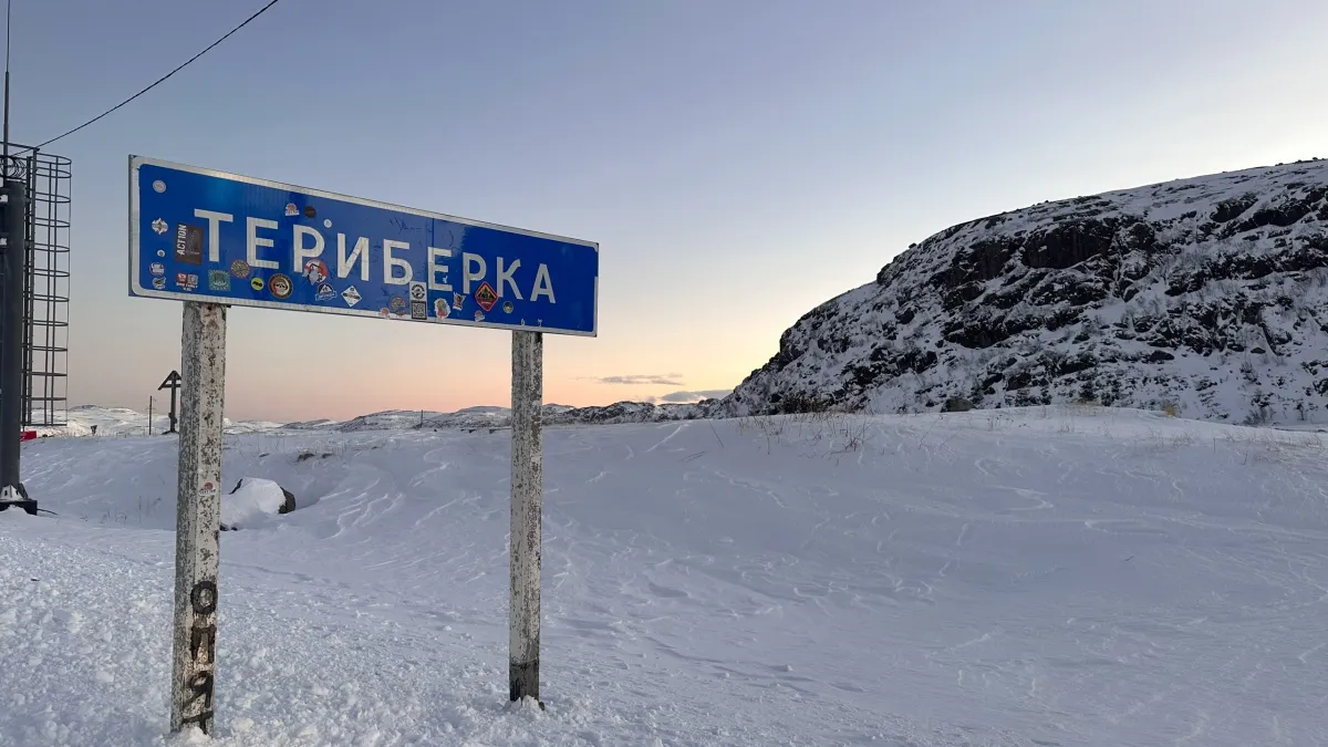 В Териберке появится смотровая площадка по наблюдению за птицами