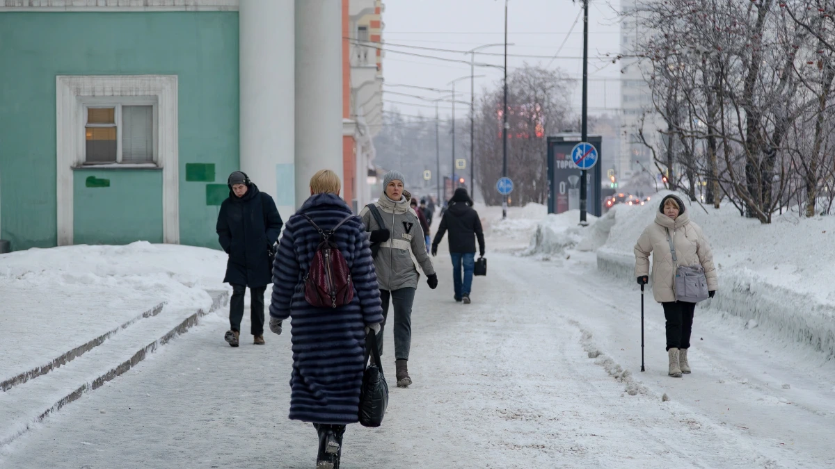 Каждый второй работающий житель Мурманской области доволен своей карьерой — исследование