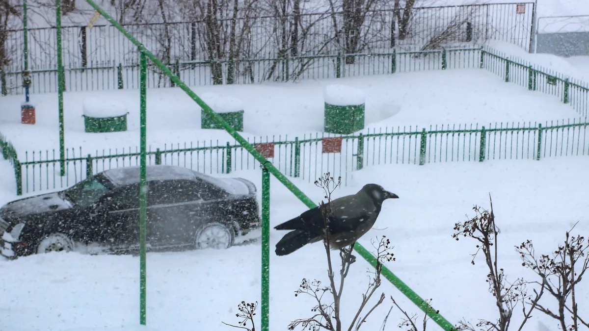 С возвращением северного ветра в Заполярье похолодает до -17°