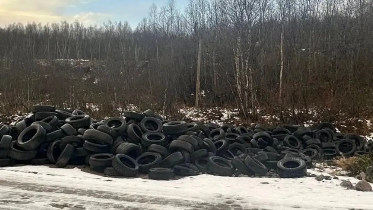 Резиновое нашествие: почти 240 тонн покрышек выбросили в Мурманске за год