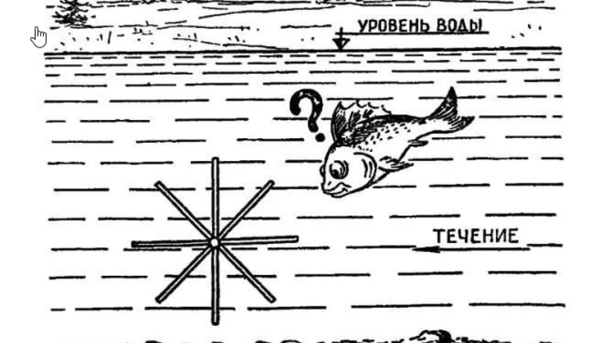 В какую сторону будет крутиться колесо: в СССР ответ находили даже школьники — а сможете ли вы