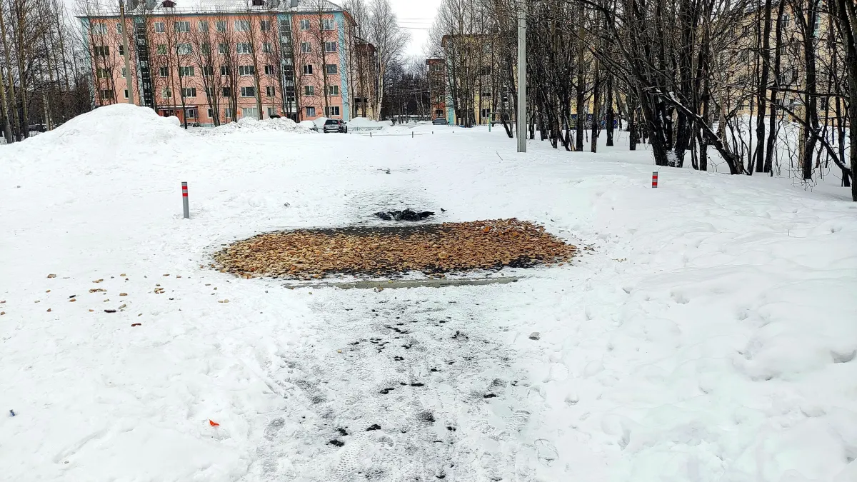 Фудкорт для птиц: В Мончегорске огромное количество хлеба оказалось на помойке