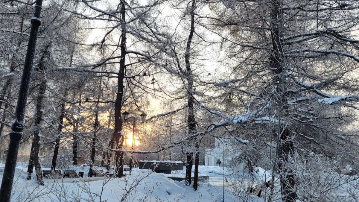 Сегодня в Заполярье подморозит до -10°