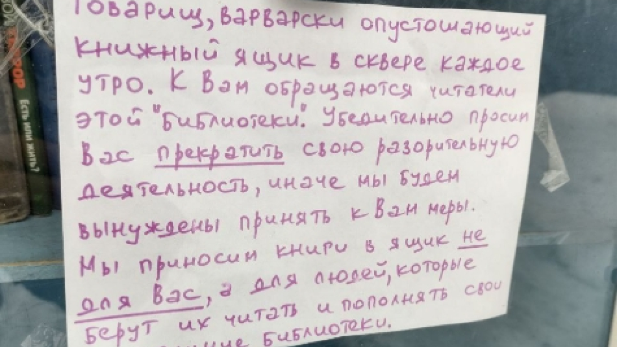 В Мурманске книжный вор обворовывает мини-библиотеку в Молодежном парке