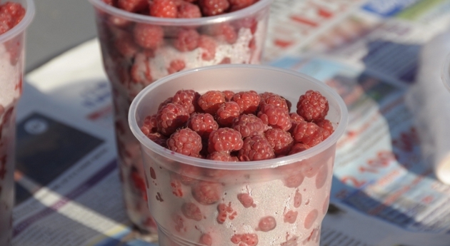 Грибы, ягоды и овощи-фрукты с огорода теперь можно купить на прилавках Первомайского и Ленинского рынков Мурманска