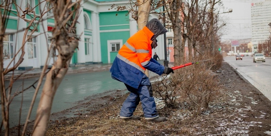 Весеннее преображение Мурманска продолжается