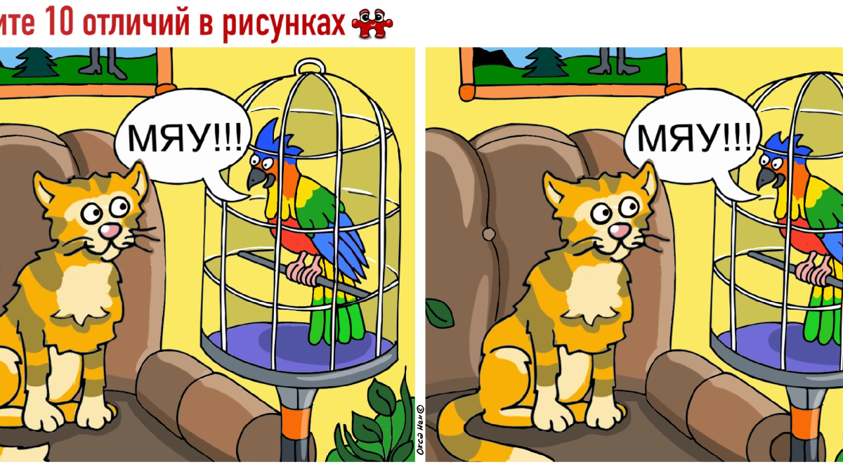 2 картинки с котом и попугаем для поиска отличий