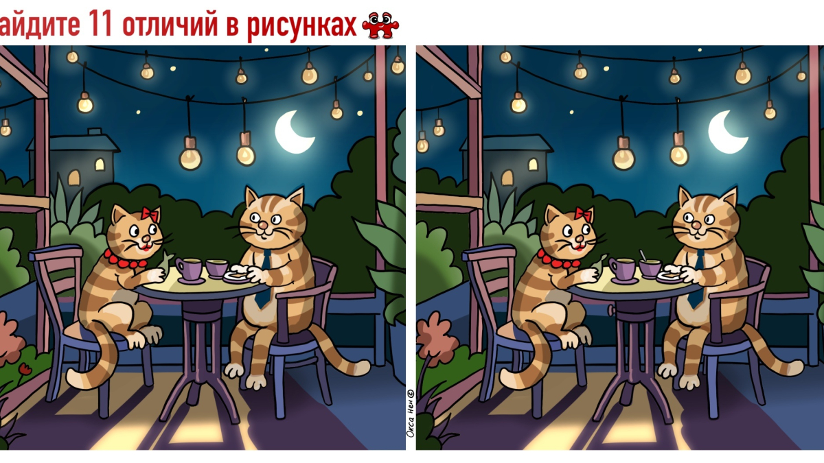 Кот и кошка отдыхают в кафе