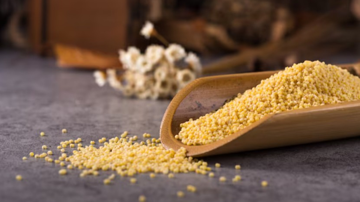 Пшено в лопатке