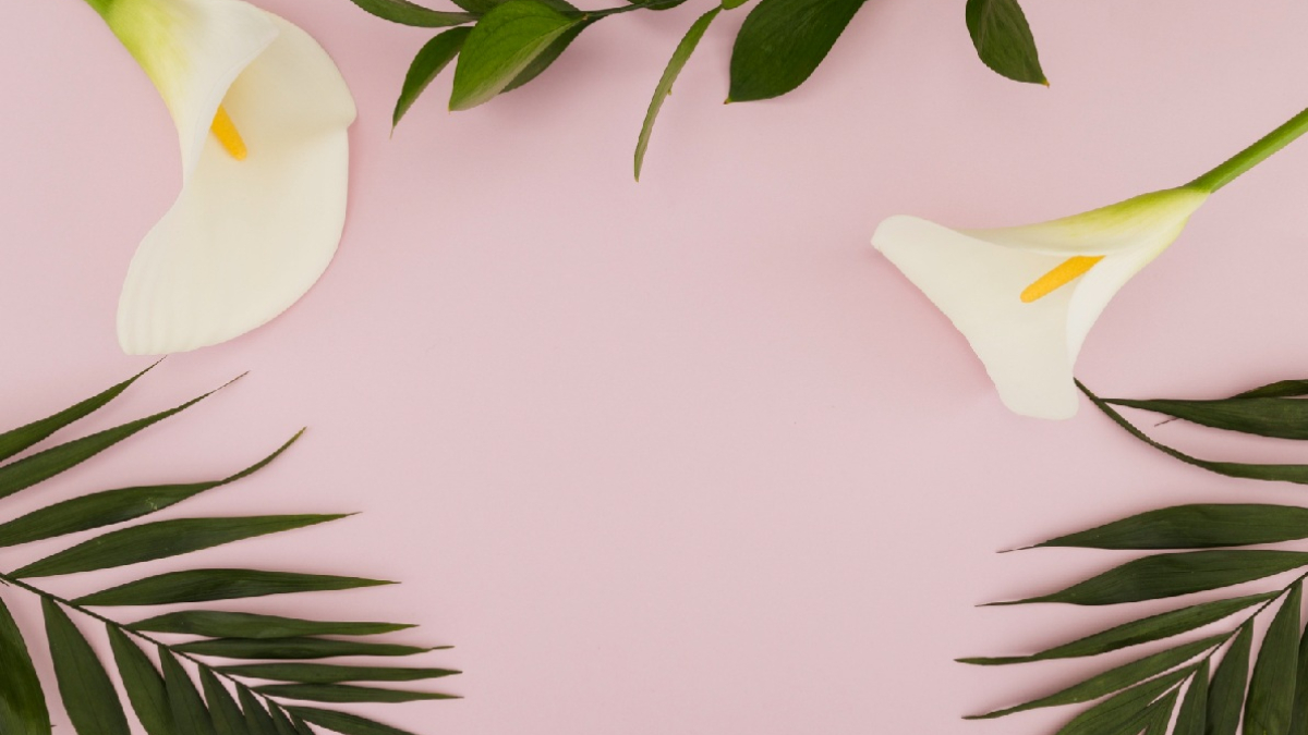 цветы и листья