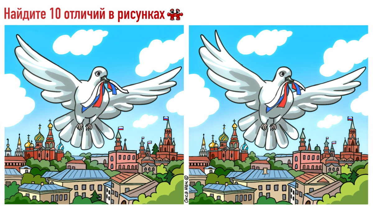 Голубь летает над Москвой