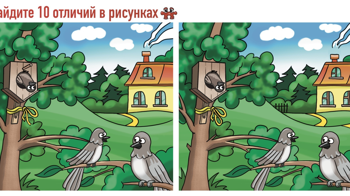 Бракодел неправильно прикрепил скворечник