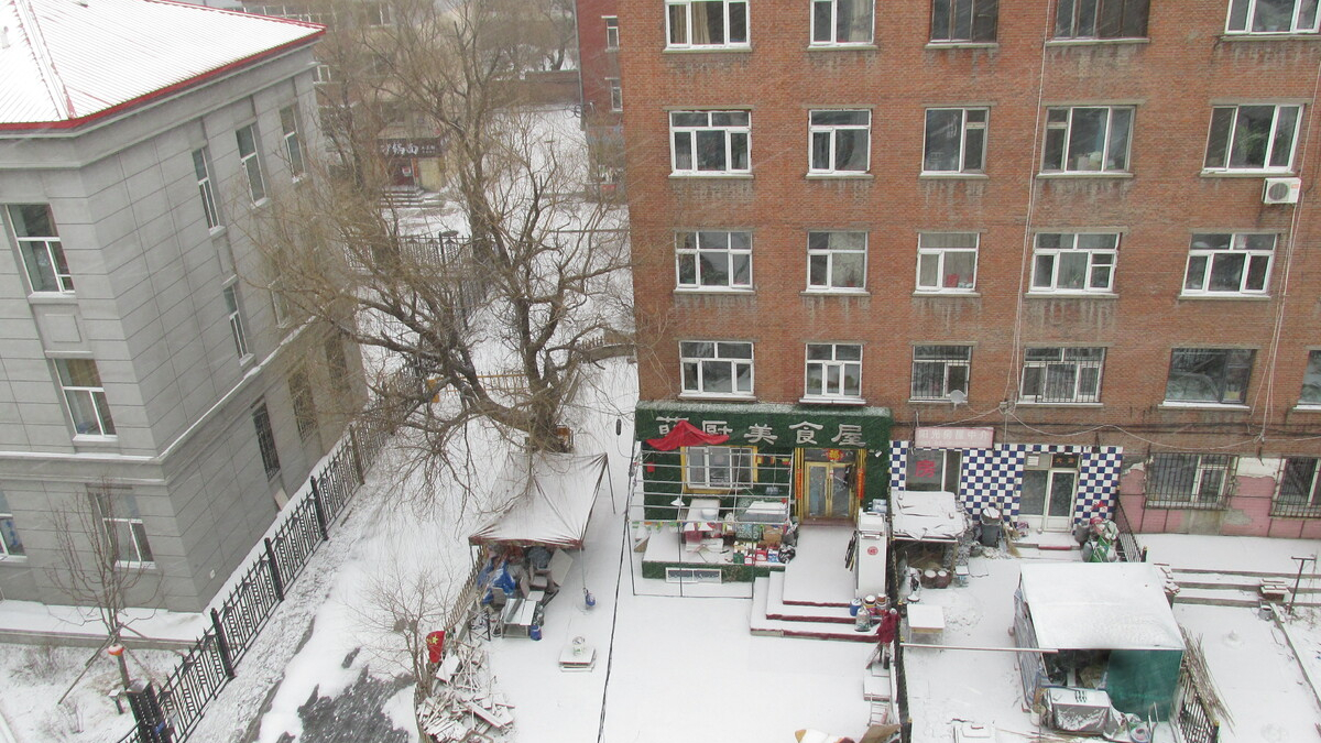 Двор многоквартирного дома