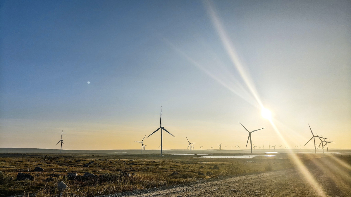 Тундра в Териберке