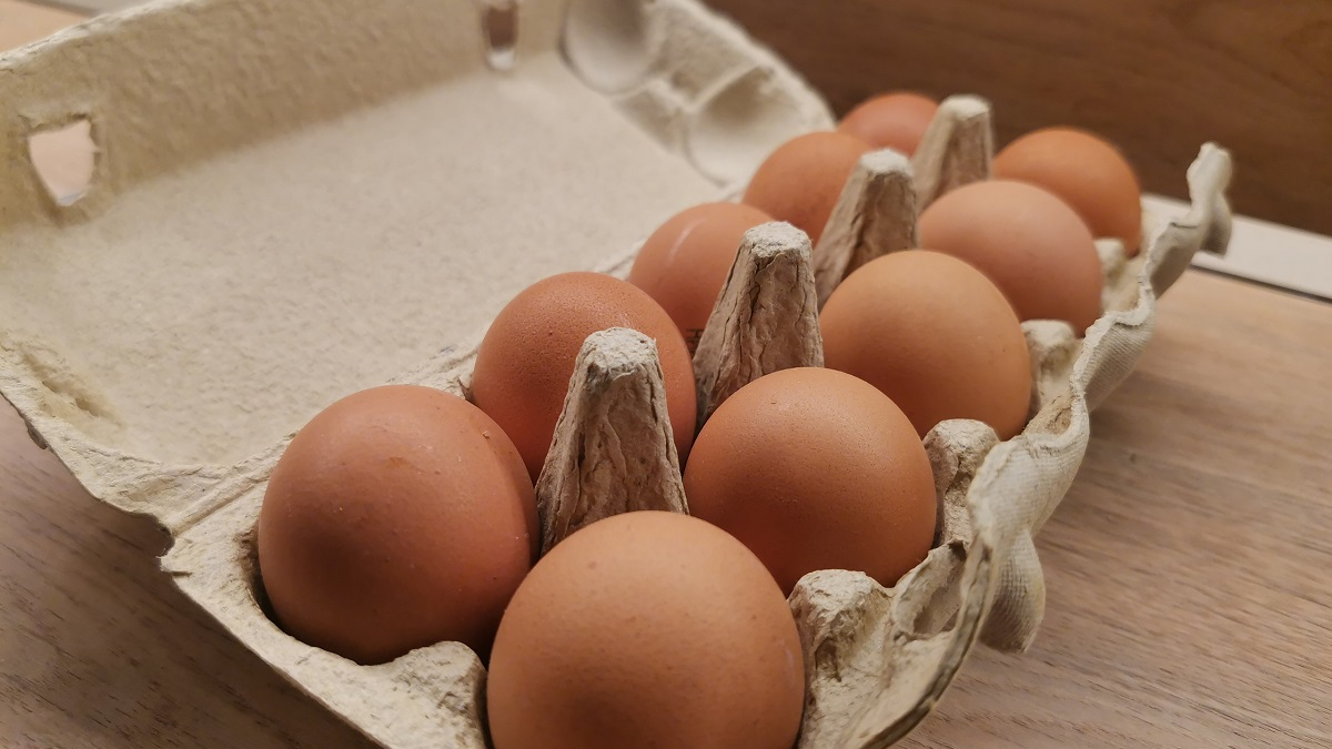 яйца в картонном контейнере