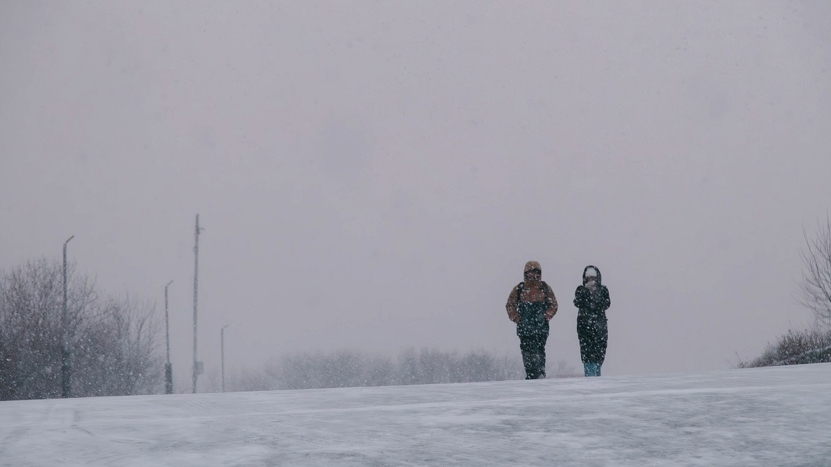 на людей сыпется снег