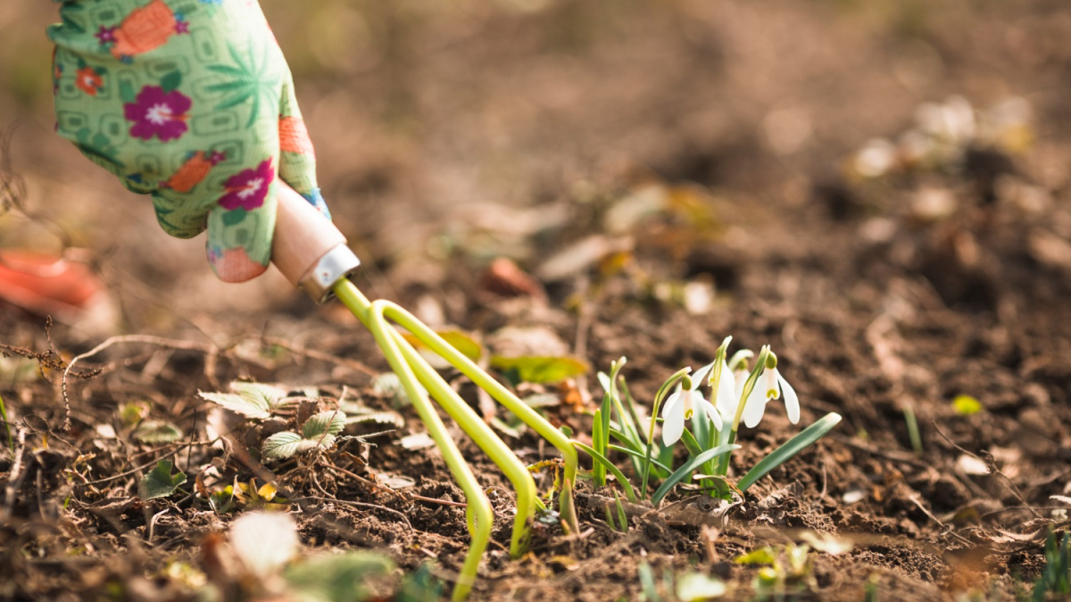 прополка грядки