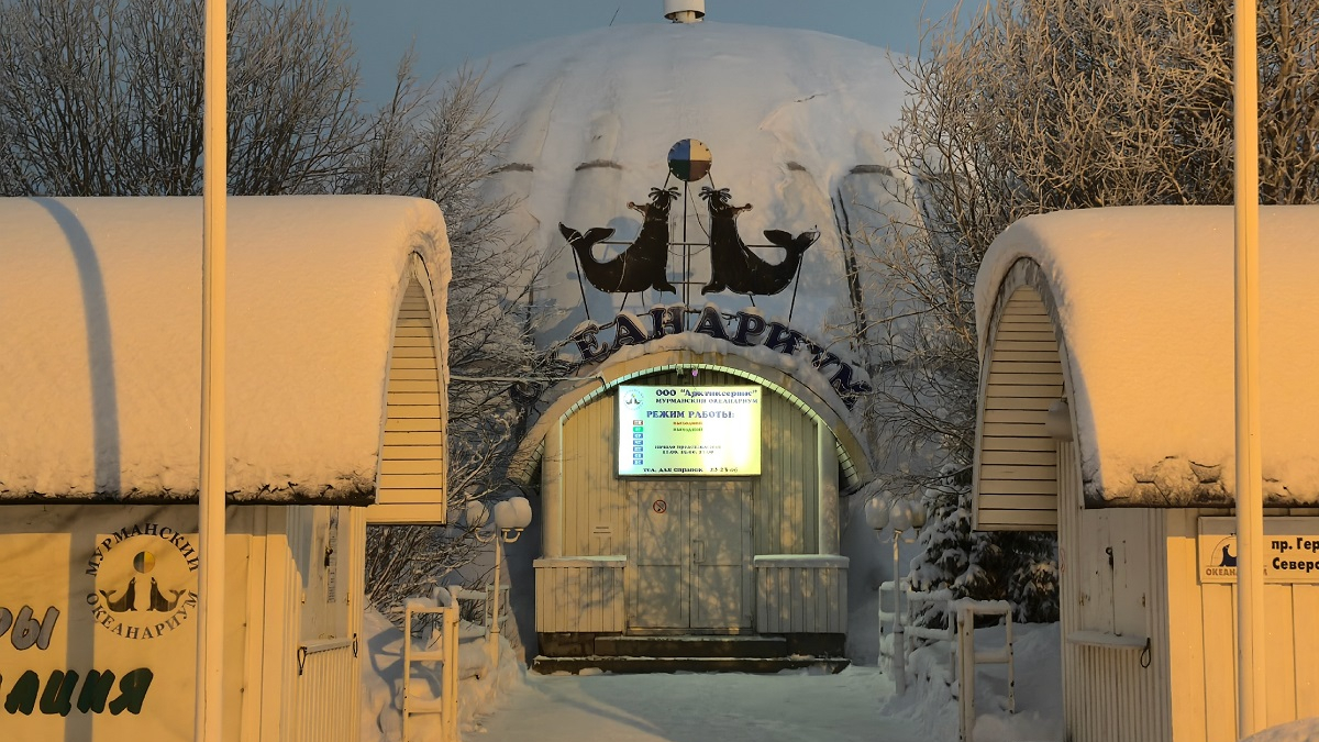 вход в мурманский океанариум