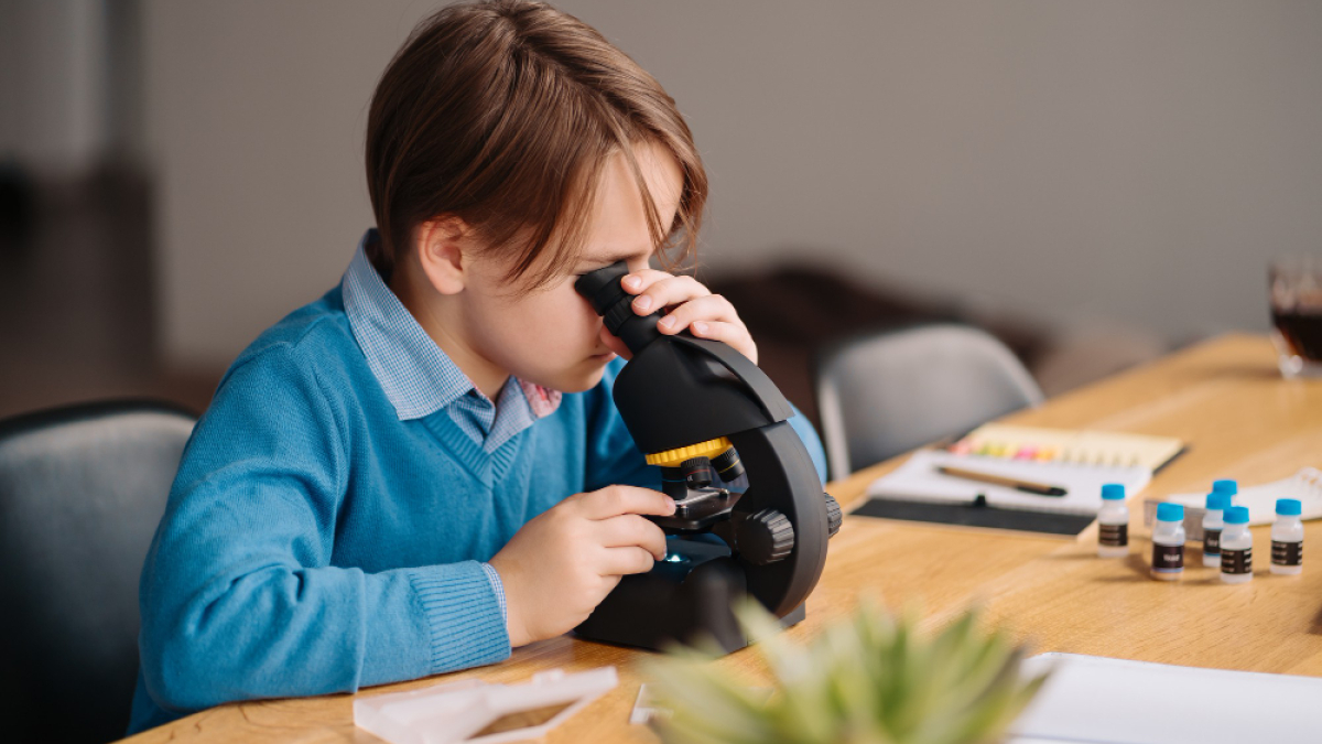Мальчик в синем свитере сидит за столом и смотрит в микроскоп.