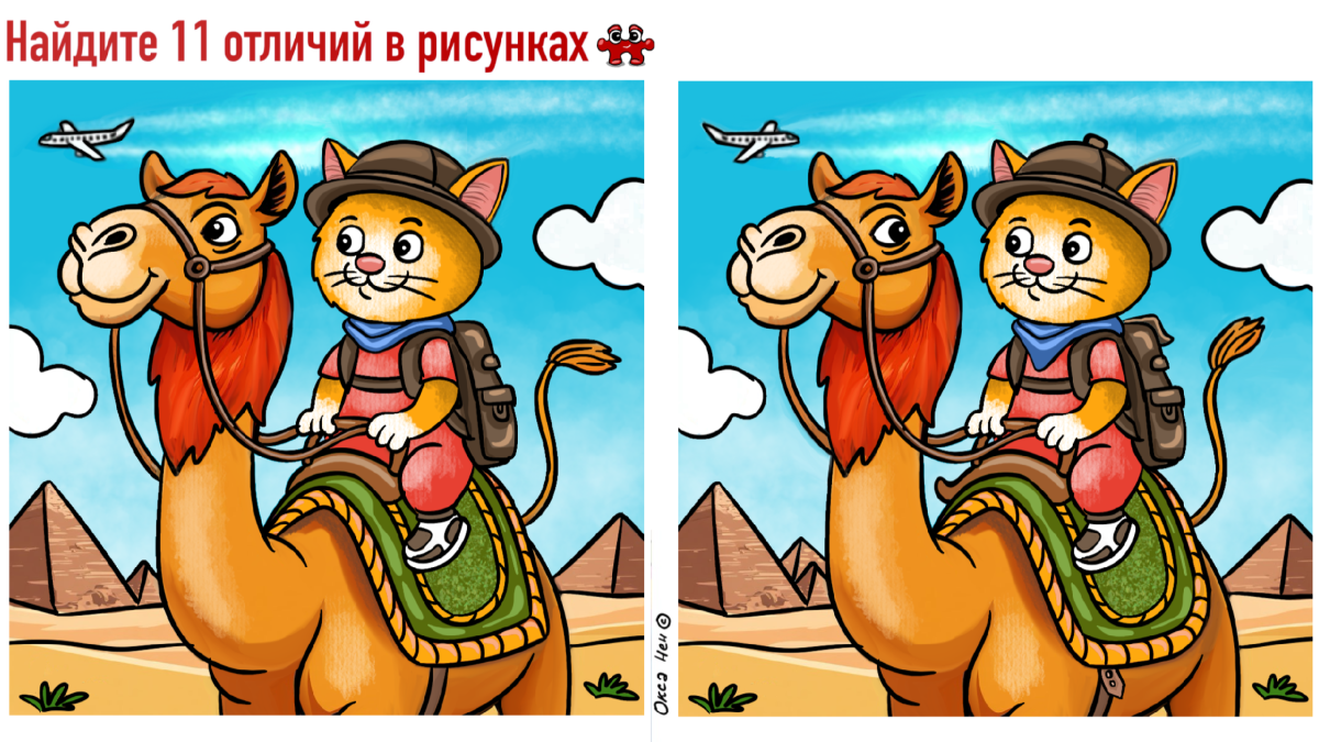 Картинка с котиком на верблюде