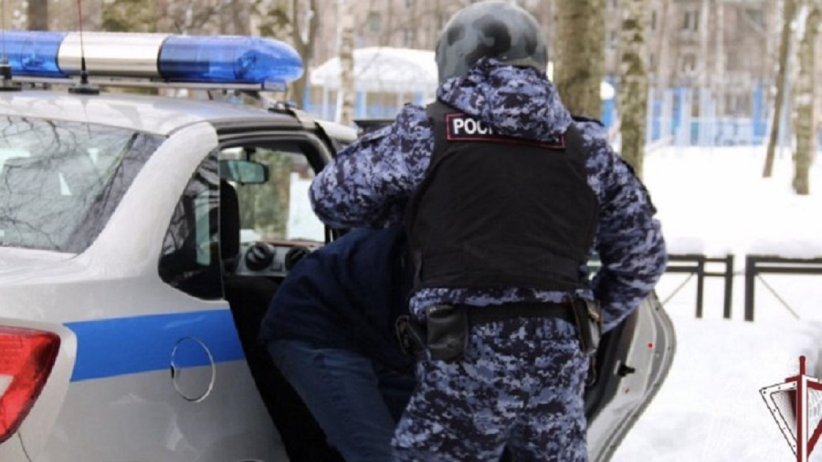 мужчину грузят в машину росгвардейцы