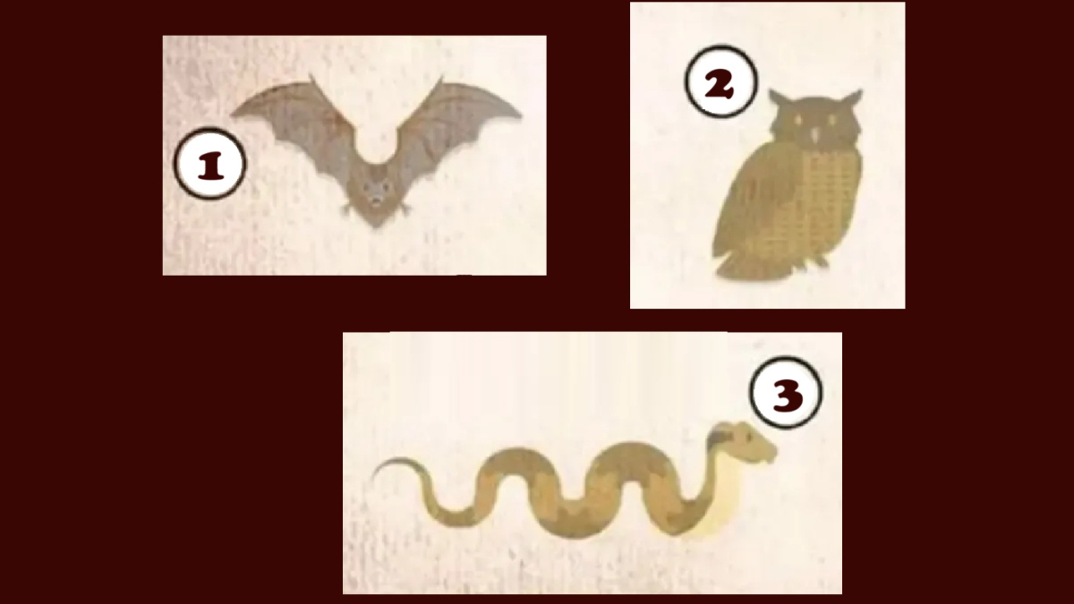 летучая мышь, сова, змея