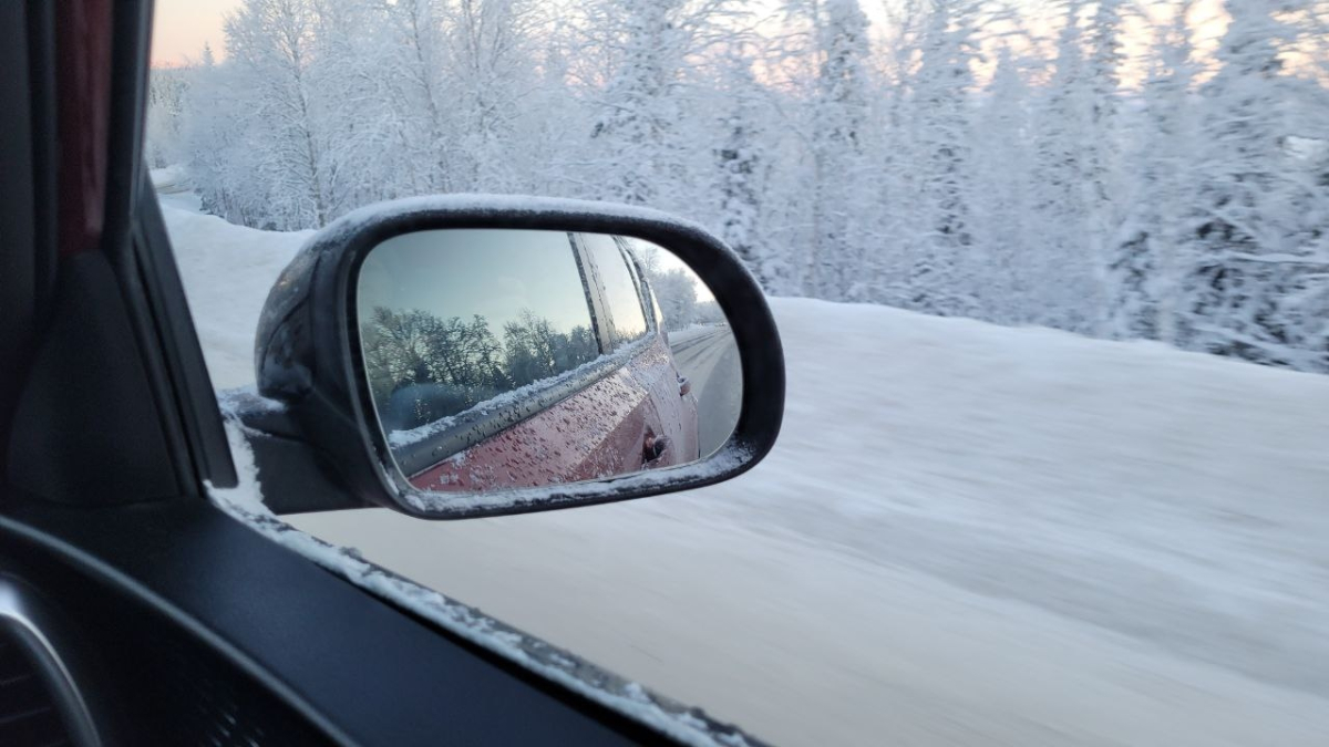 Вид из окна авто