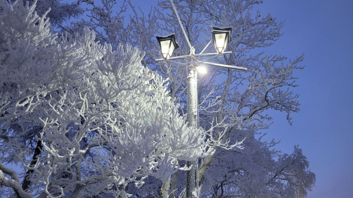 Фонарь и ограждение в изморози