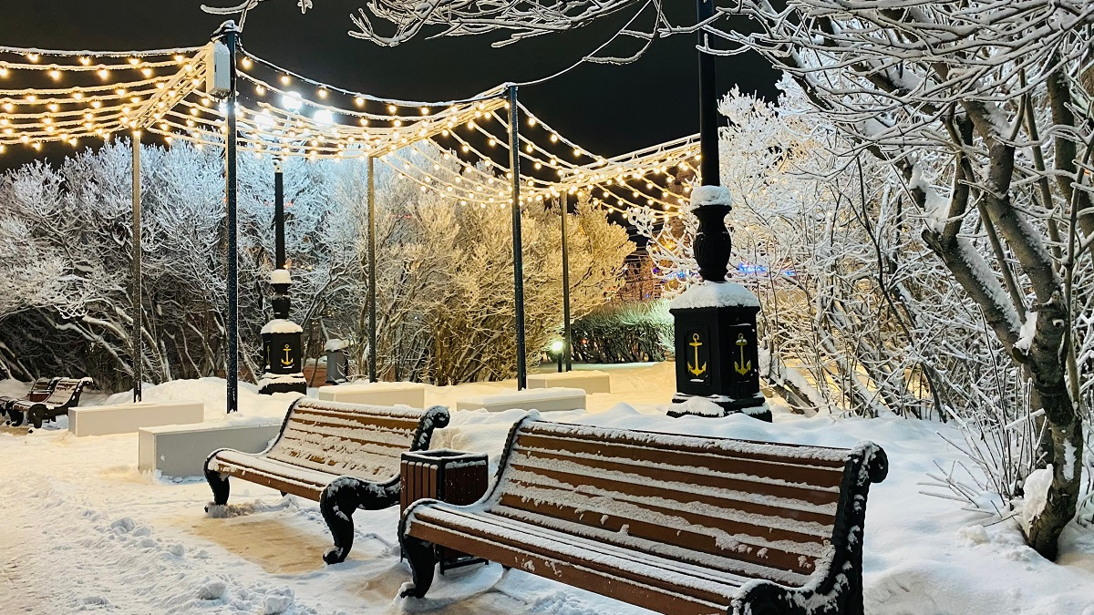 снег на деревьях в парке