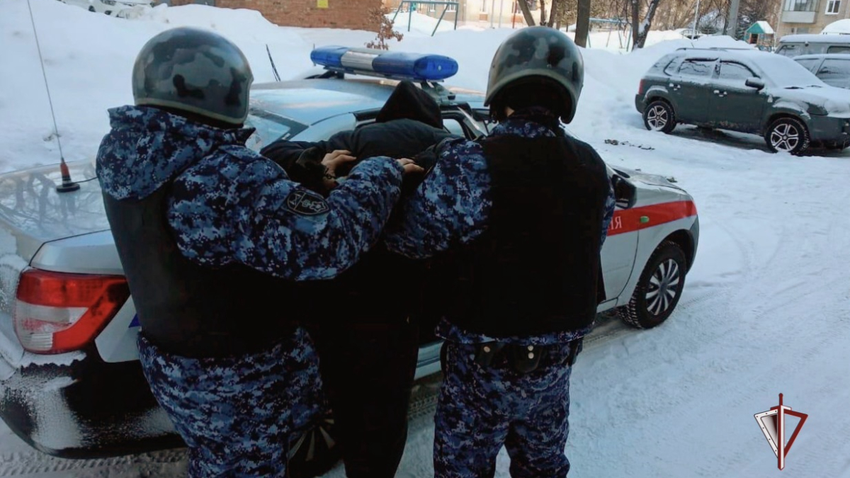 росгвардейцы грузят дебошира в машину