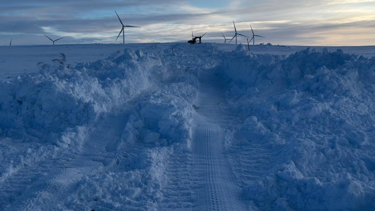 Дорога в Туманный