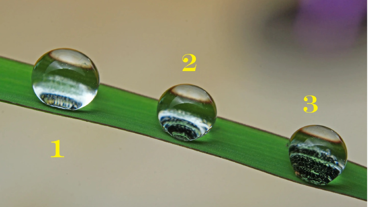 три капли воды